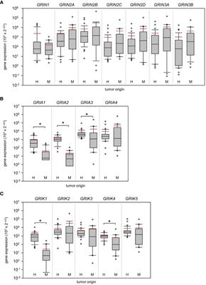 A glutamatergic biomarker panel enables differentiating Grade 4 gliomas/astrocytomas from brain metastases